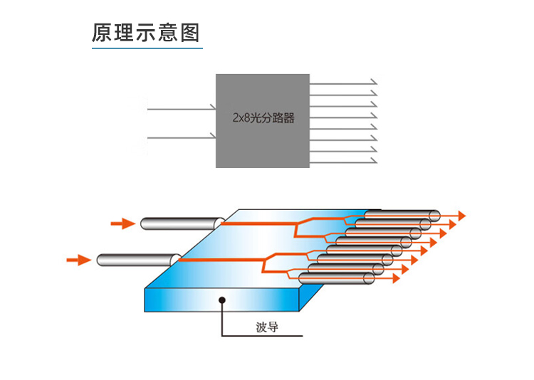 详情_02.jpg